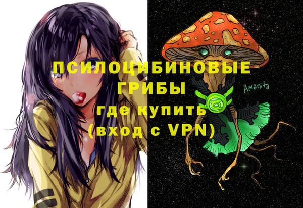 ГАЛЛЮЦИНОГЕННЫЕ ГРИБЫ Бородино