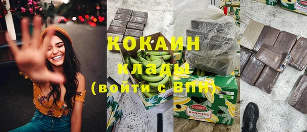 ГАЛЛЮЦИНОГЕННЫЕ ГРИБЫ Бородино