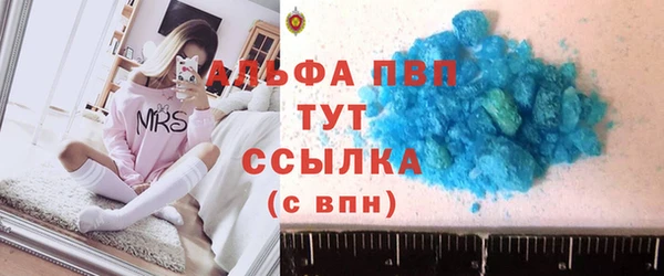 ГАЛЛЮЦИНОГЕННЫЕ ГРИБЫ Бородино