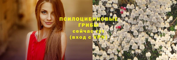 2c-b Бронницы