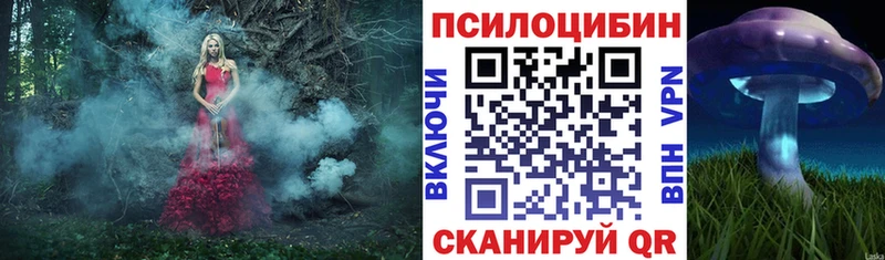 Галлюциногенные грибы Psilocybe  гидра как войти  Губкинский 